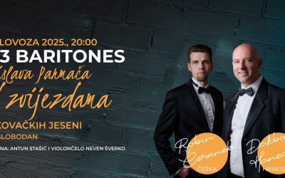 Koncert pod zvijezdama na novom Trgu Vinkovačkih jeseni